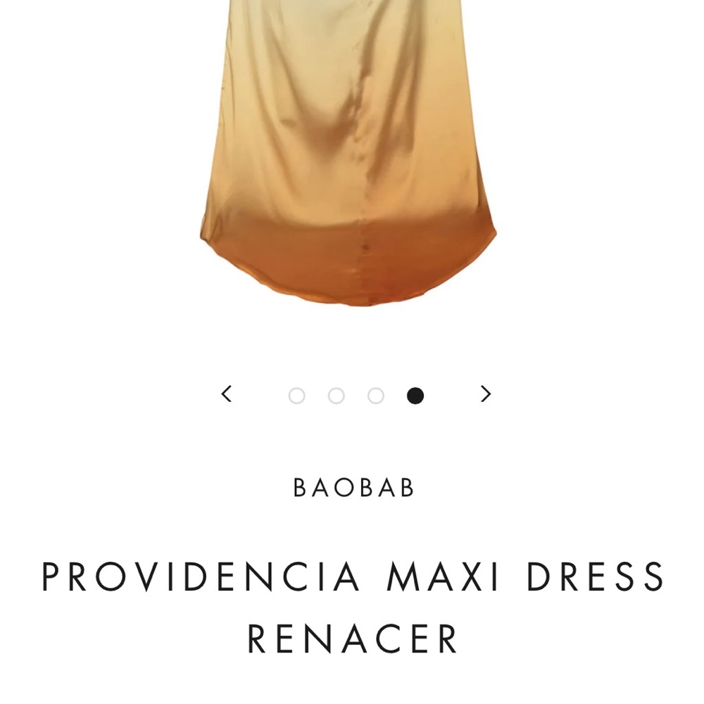 BAOBAB PROVIDENCIA MAXI DRESS RENACER - Picture 6 of 14